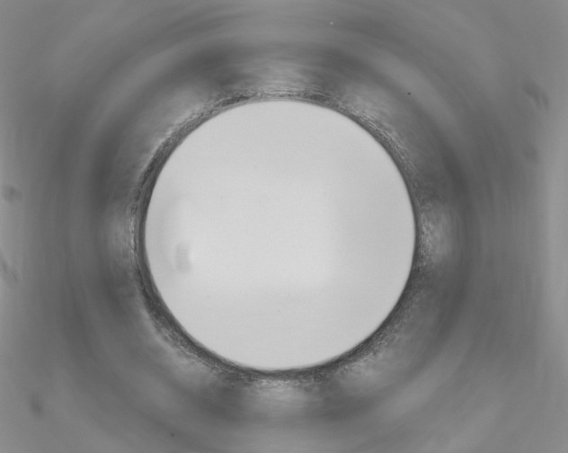 X0000090970534200708021144