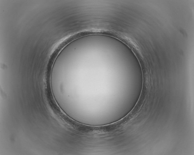 X0000090970536200708021144