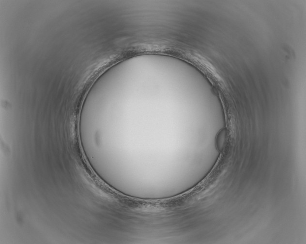 X0000090970537200708021144