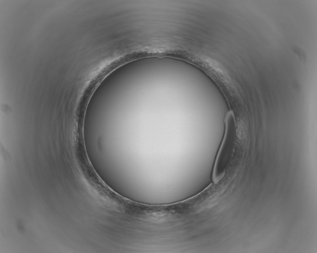 X0000090970540200708021144