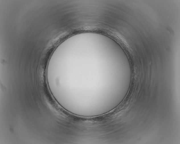 X0000090970542200708021145
