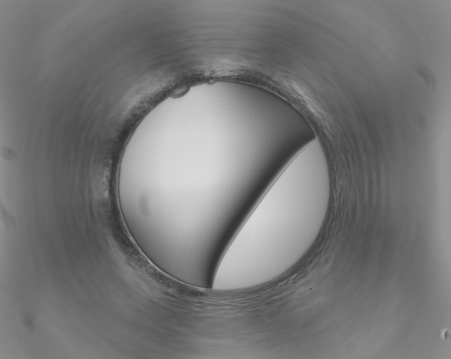 X0000090970543200708021145