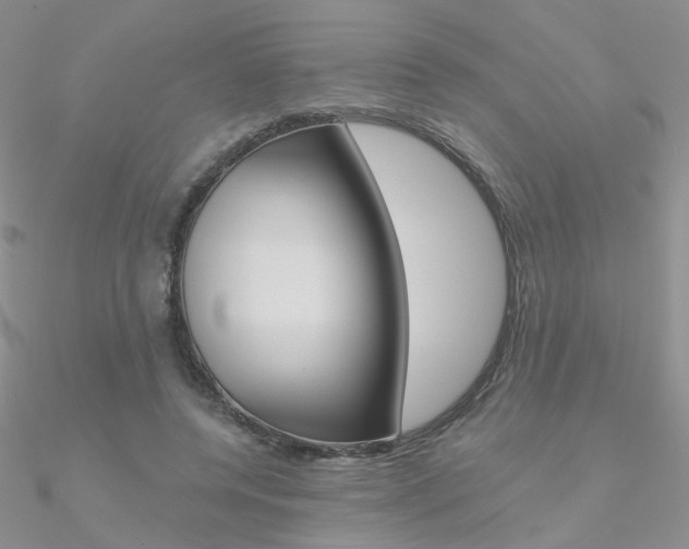 X0000090970544200708021145