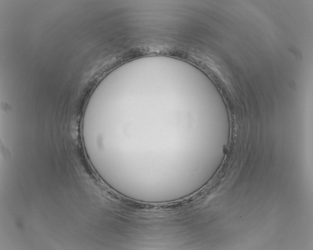 X0000090970545200708021145
