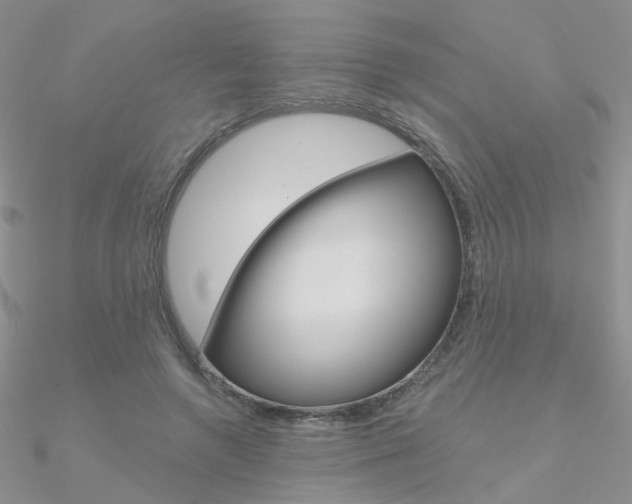 X0000090970546200708021145