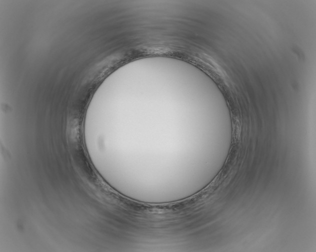 X0000090970549200708021145
