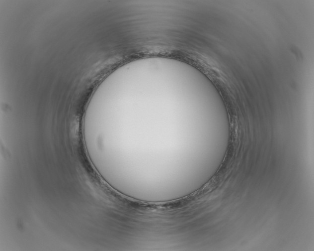 X0000090970550200708021145