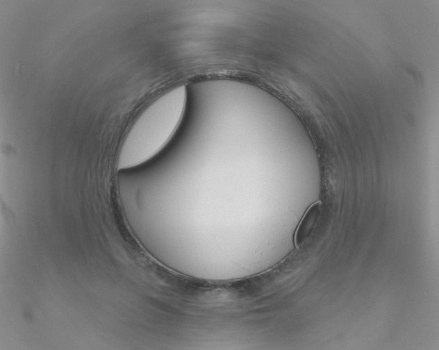 X0000090970551200708021145