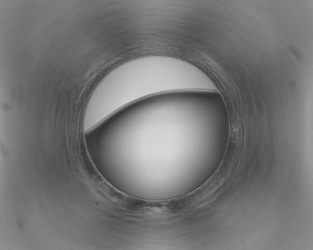 X0000090970552200708021145