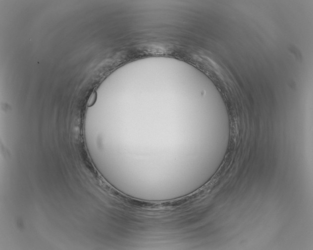 X0000090970553200708021145