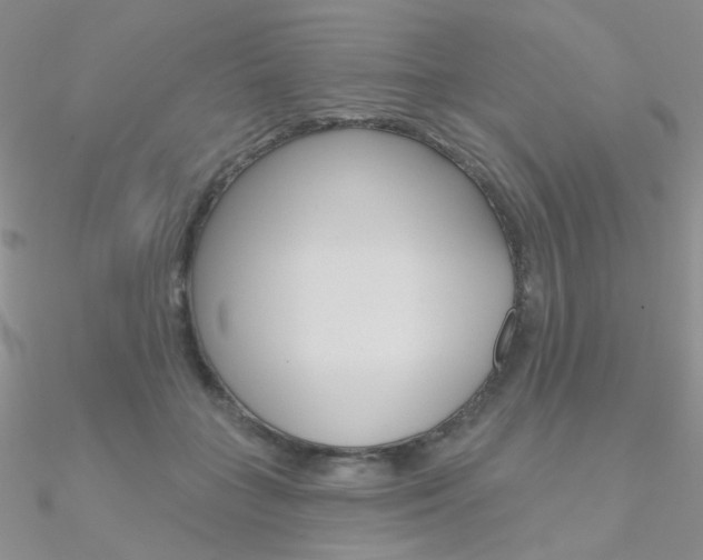 X0000090970555200708021145