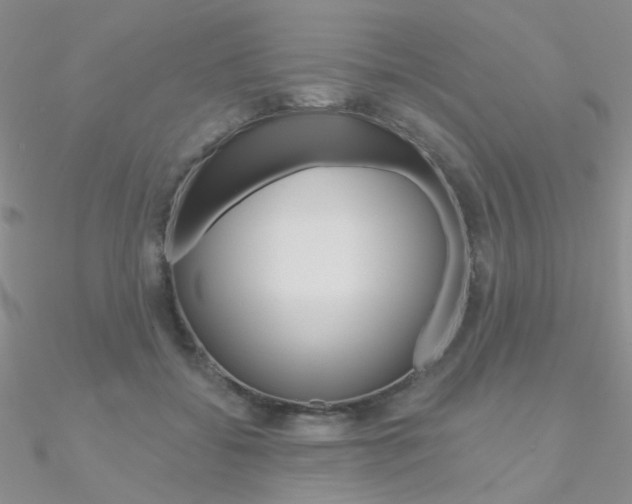 X0000090970556200708021145