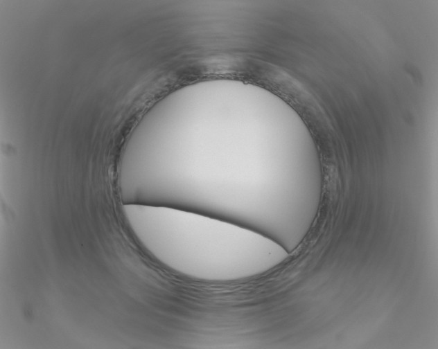 X0000090970557200708021145