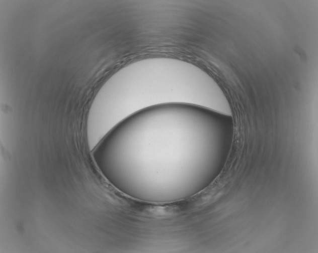 X0000090970558200708021145