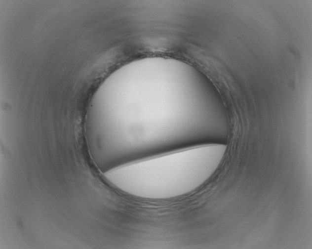 X0000090970559200708021145
