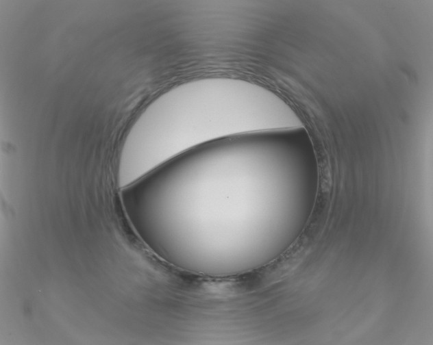 X0000090970560200708021145