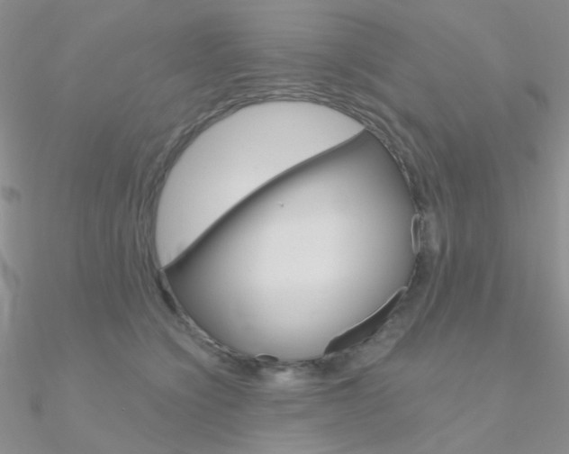 X0000090970564200708021145