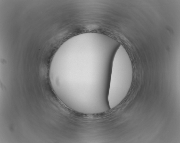 X0000090970565200708021145