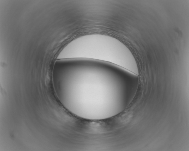 X0000090970566200708021145