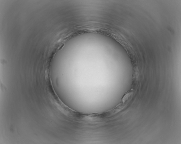 X0000090970568200708021145