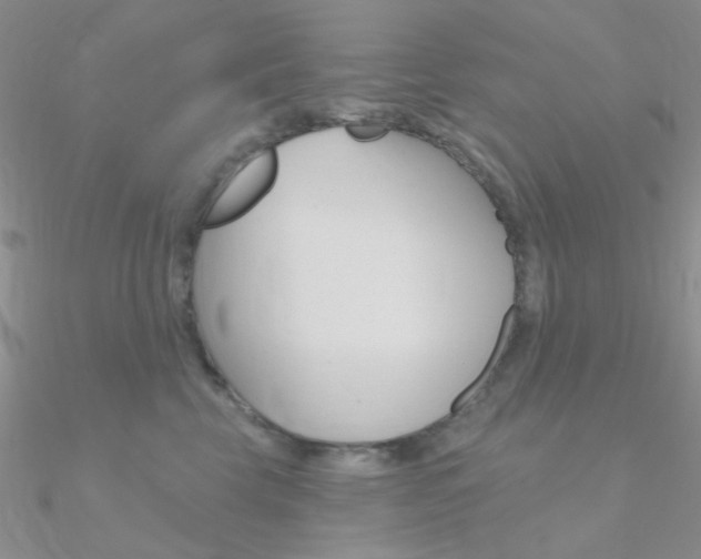 X0000090970569200708021145