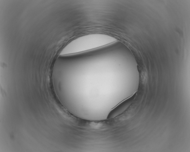 X0000090970570200708021145