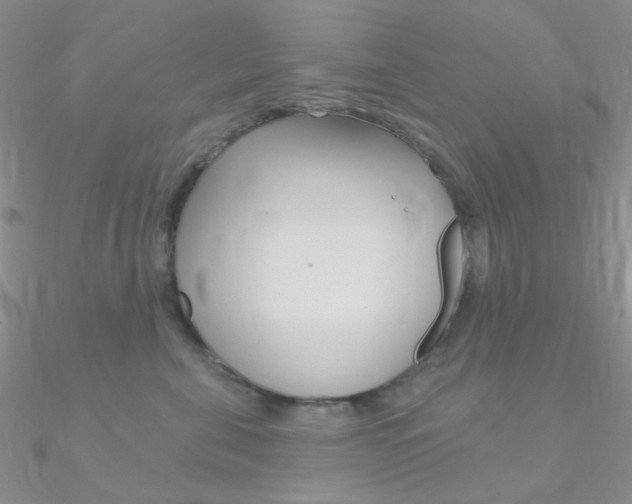 X0000090970571200708021145