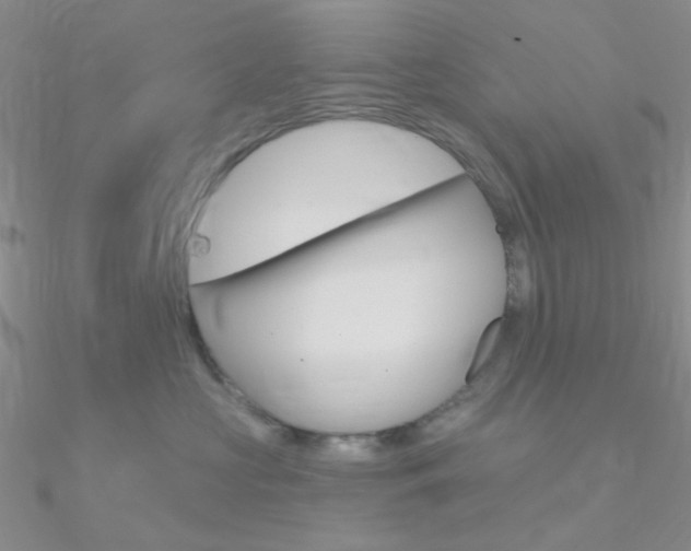X0000090970573200708021145