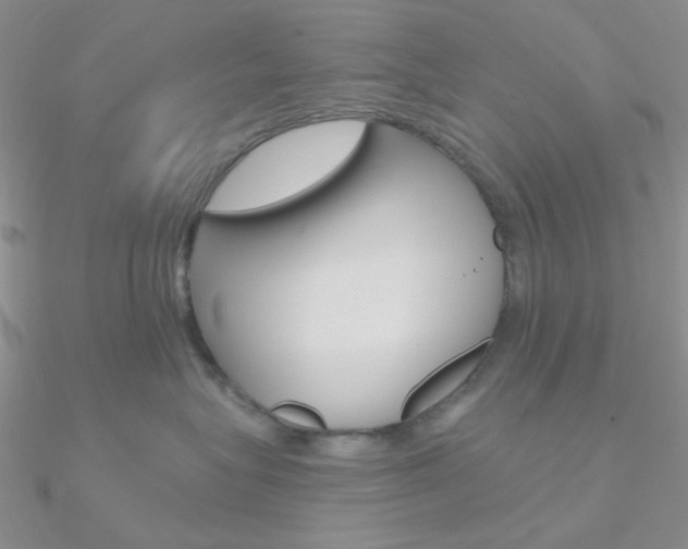 X0000090970575200708021145