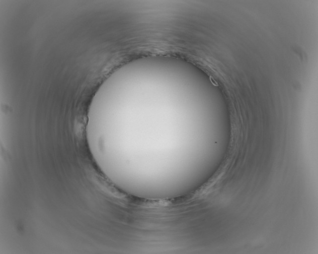 X0000090970576200708021145
