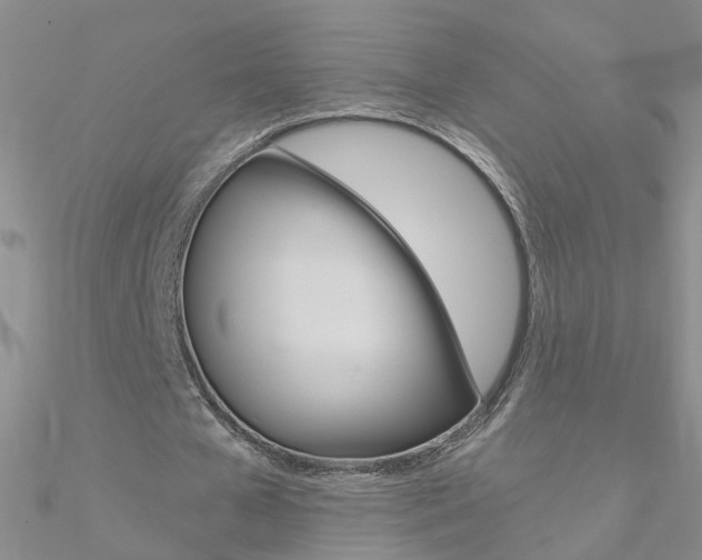 X0000090970577200708021144