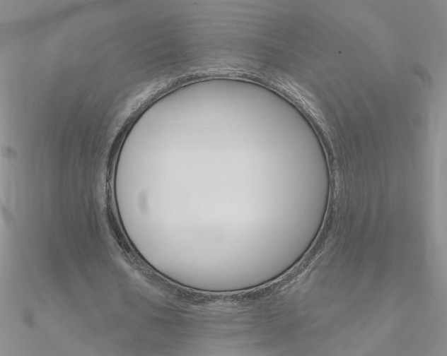 X0000090970578200708021144