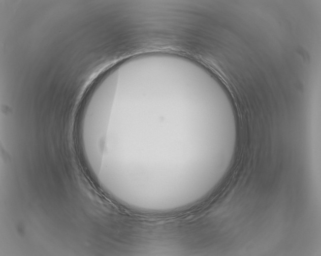 X0000090970579200708021144