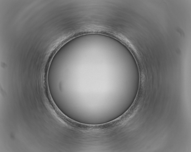 X0000090970581200708021144