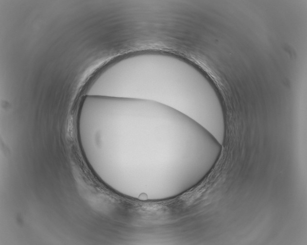 X0000090970583200708021144