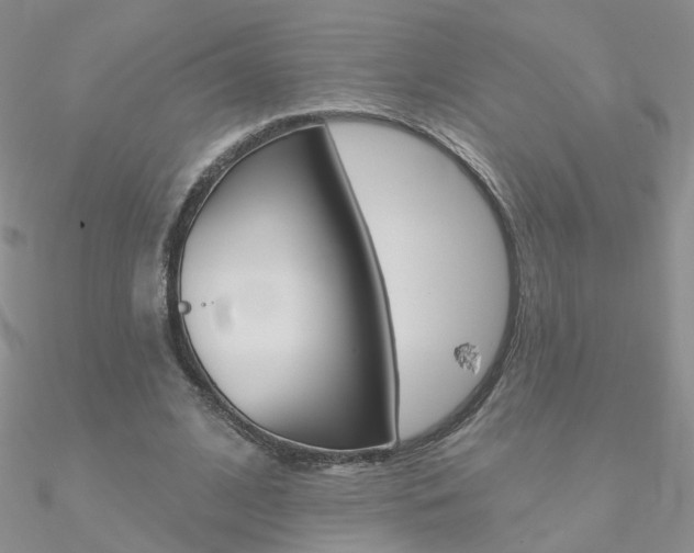 X0000090970584200708021144