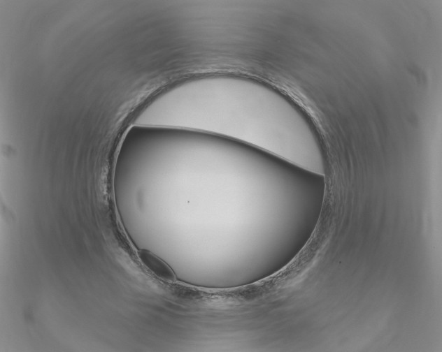 X0000090970585200708021144