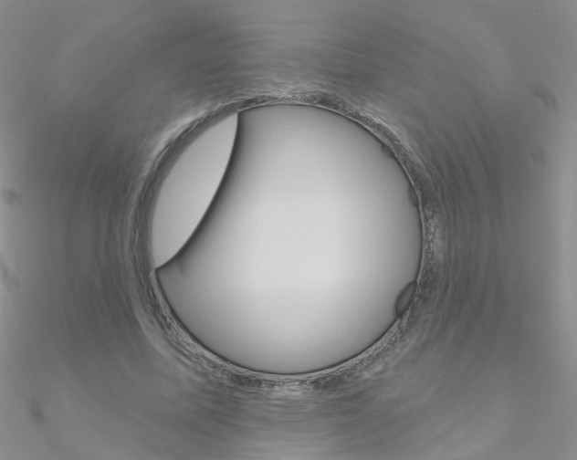 X0000090970587200708021144