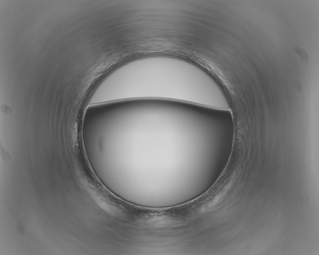 X0000090970589200708021144