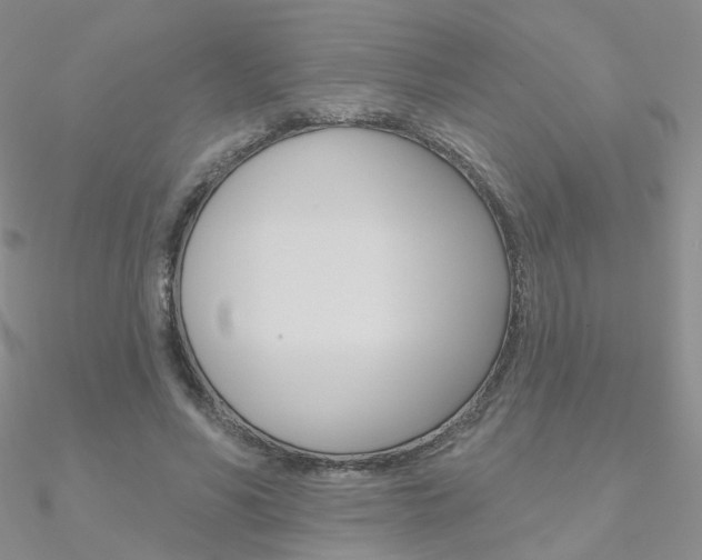 X0000090970590200708021144