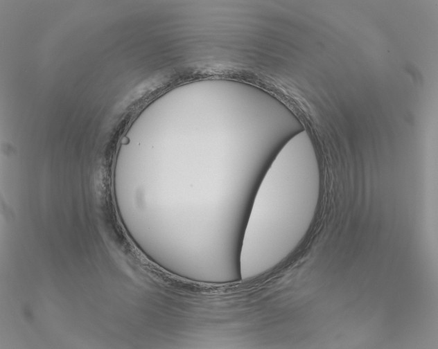 X0000090970591200708021144
