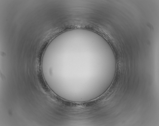 X0000090970594200708021144