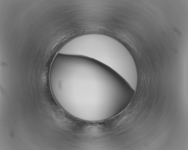 X0000090970595200708021144