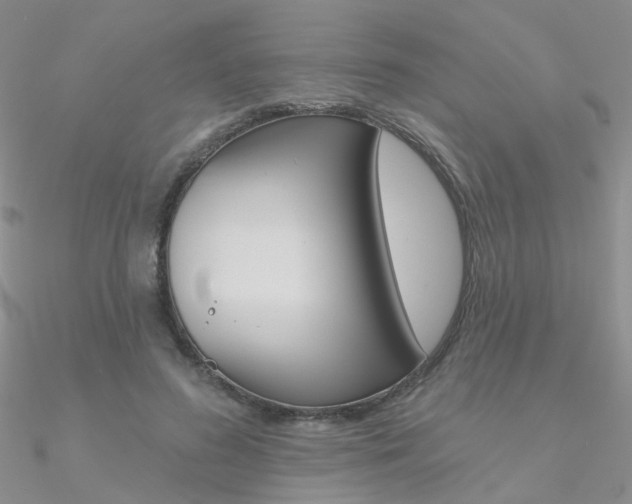 X0000090970596200708021144