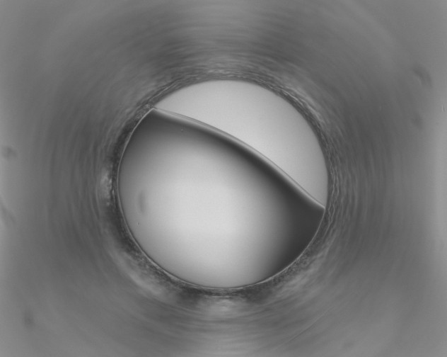 X0000090970597200708021144