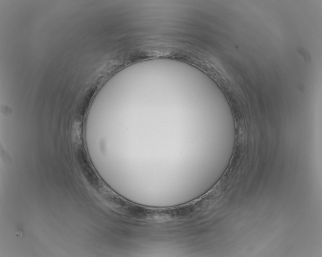 X0000090970598200708021144