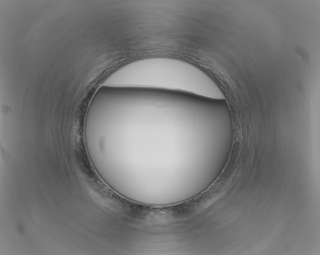 X0000090970599200708021144