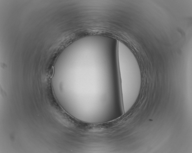 X0000090970601200708021144