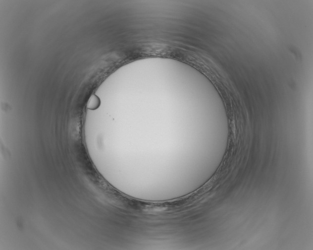 X0000090970602200708021144