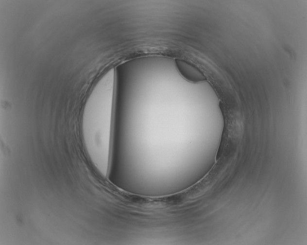 X0000090970604200708021144